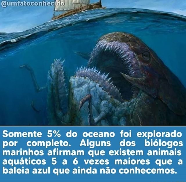 Quantos Por Cento Do Oceano Já Foi Explorado