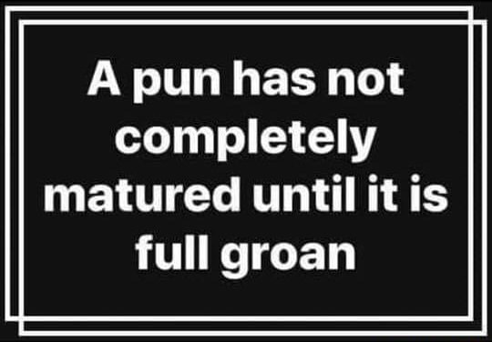 A pun has not completely matured until it is full groan - iFunny