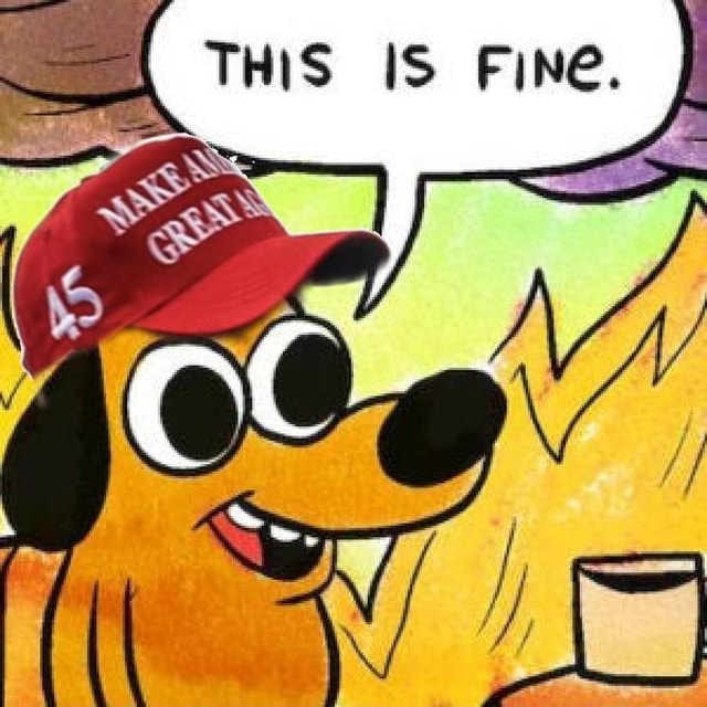 This is fine. - THIS IS Fine. - iFunny
