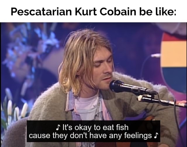 pescatarian-kurt-cobain-be-like-it-s-okay-to-eat-fish-i-cause-they-don