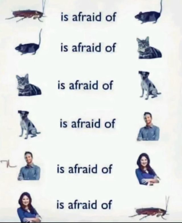 Is afraid of is afraid of is afraid of is afraid of is afraid of is ...