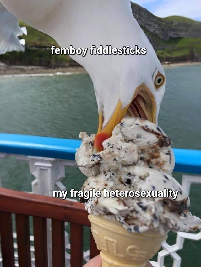 Femboy Fiddlesticks My Fragile Heterosexuality Ifunny