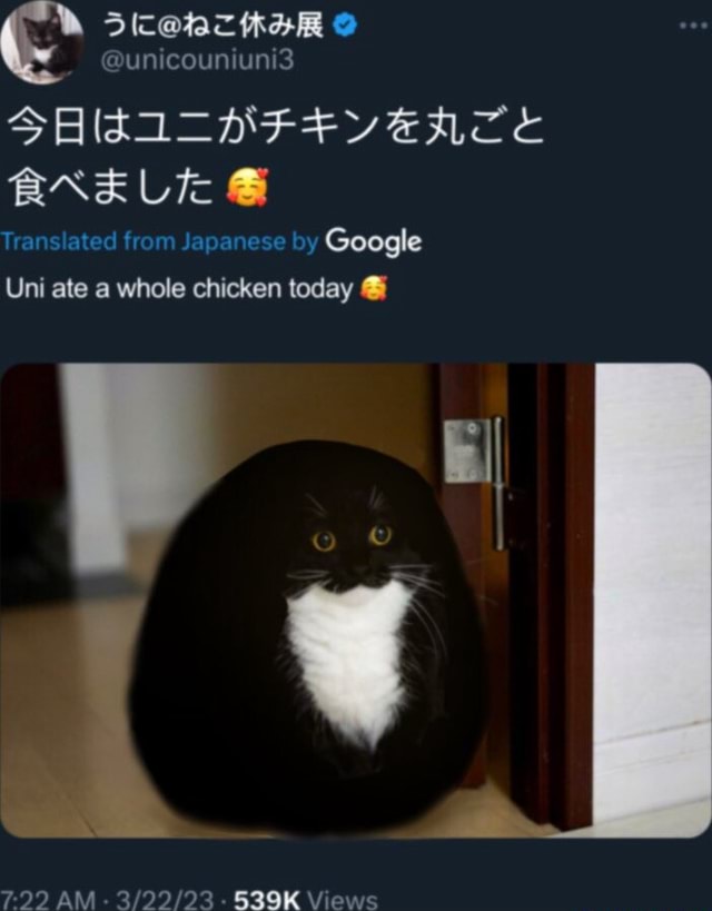 un-belle-translated-from-japanese-by-google-uni-ate-a-whole-chicken