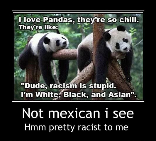 Dude Racism Is Stupid Em White Black And Asian Not Mexican I See Hmm Pretty Racist To Me Not Mexican I See Hmm Pretty Racist To Me