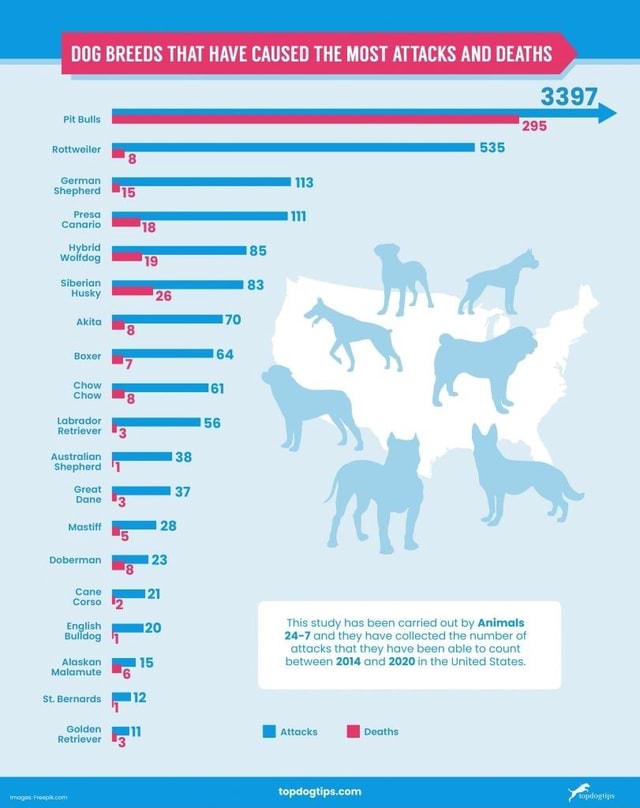 DOG BREEDS THAT HAVE CAUSED THE MOST ATTACKS AND DEATHS 3397 295 tiler