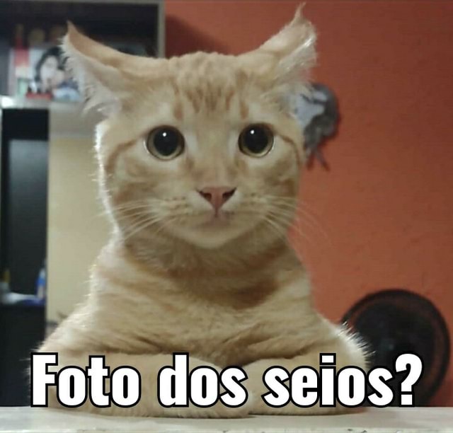 Foto dos seios ifunny brazil