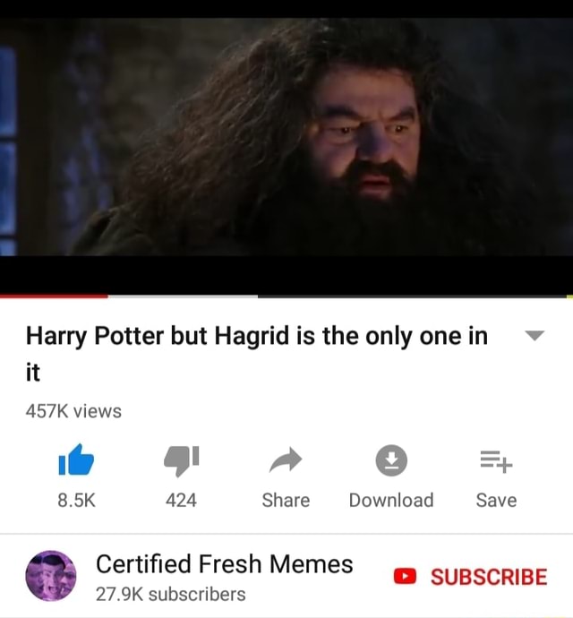 harry-potter-but-hagrid-is-the-only-one-in-it-457k-views-certified