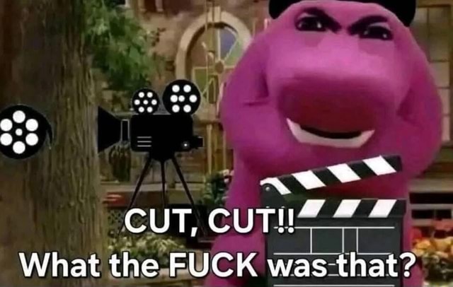CUT, CUT! * What the FUCK was that? - iFunny