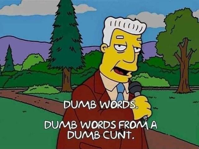 DUMB DUMB WORDS FROM A DUMB CUNT IFunny Brazil