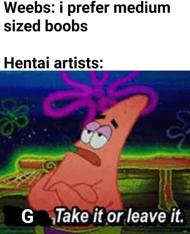 Weebs: i prefer medium sized boobs Hentai artists: - iFunny