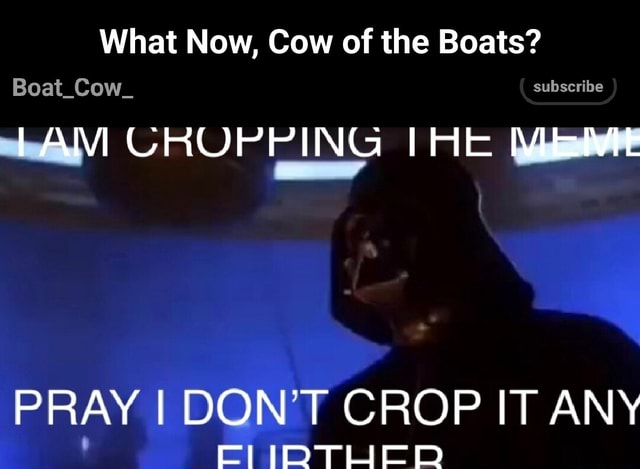 What Now, Cow of the Boats? Boat_Cow_ subscribe TrAM CROPPING THE MEME ...