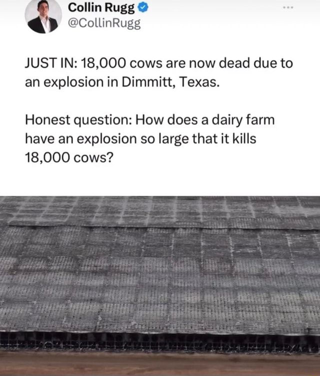 Collin Rugg @ JUST IN: 18,000 Cows Are Now Dead Due To An Explosion In ...