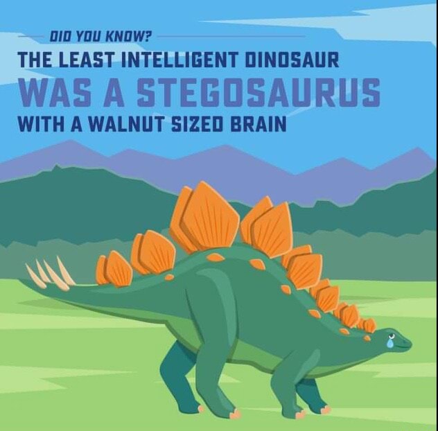 You KNOW? THE LEAST INTELLIGENT DINOSAUR WAS A STEGOSAURUS WITH A ...