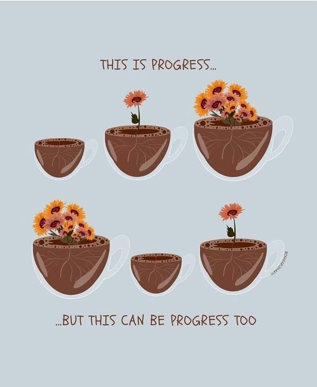 THIS IS PROGRESS... BUT THIS CAN BE PROGRESS TOO - iFunny