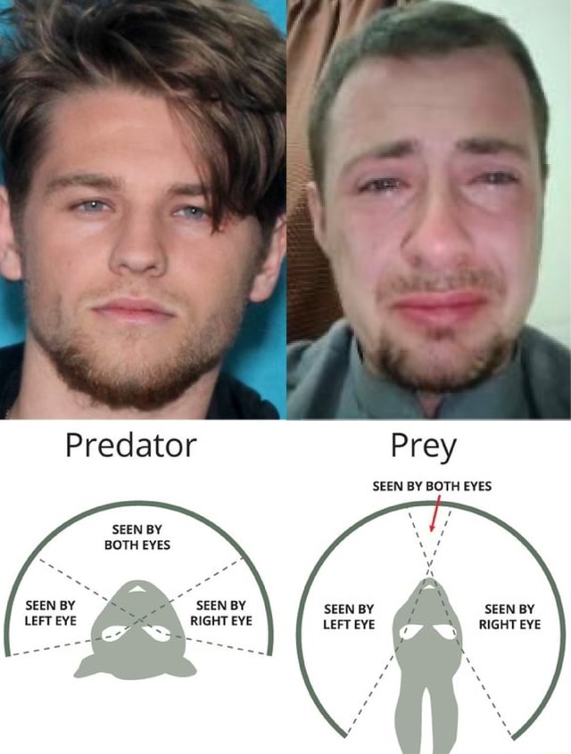 Predator Prey SEEN BY BOTH EYES SEEN BY BOTH EYES SEEN BY LEFT EYE SEEN