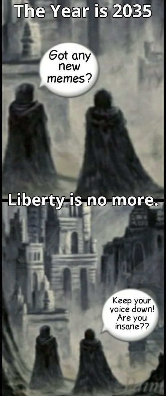 The Year is 2025 new memes? Liberty is no more. Keep your yotce down