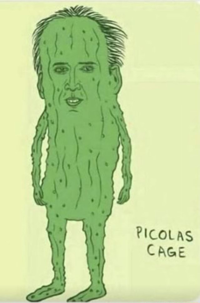 PICOLAS CAGE iFunny