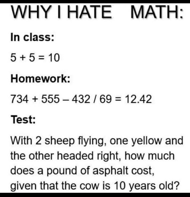 why-i-hate-math-in-class-10-homework-734-555-432-69-12-42