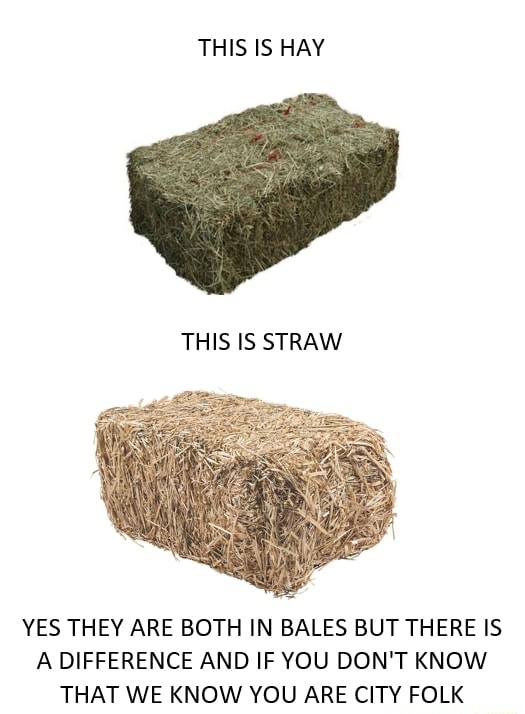 THIS IS HAY THIS IS STRAW YES THEY ARE BOTH IN BALES BUT THERE IS A