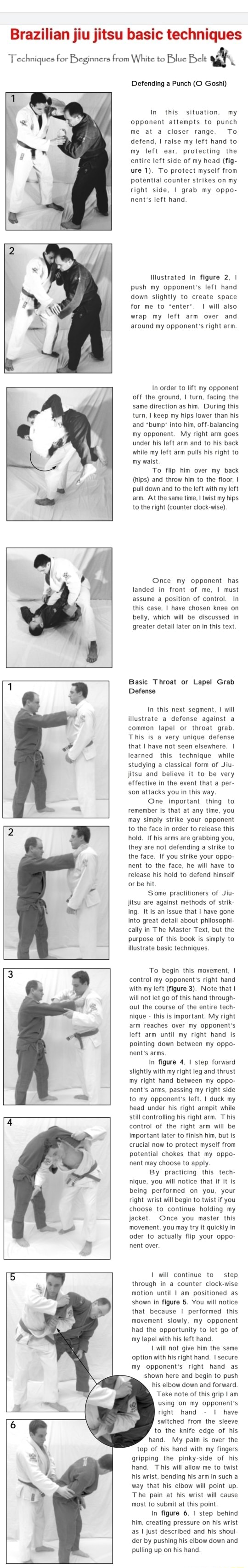 basic brazilian jiu jitsu techniques