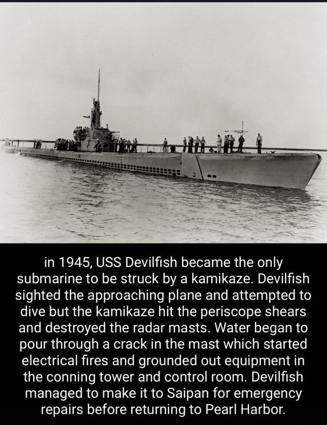 In 1945, USS Devilfish became the only submarine to be struck by a ...