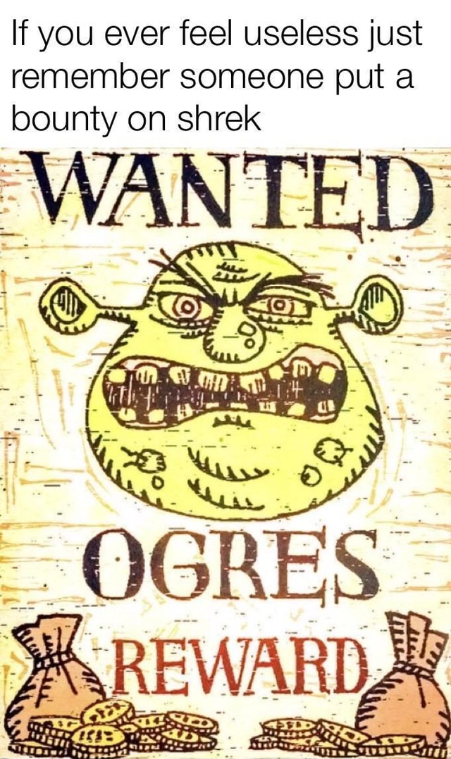 плакат в стиле дикого запада. Wanted объявление. рамка разыскивается. Have wanted. шрек плакаты розыска.