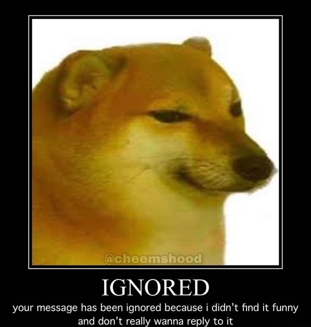 Ignored Your Message Has Been Ignored Because I Didn T Find It Funny Ann