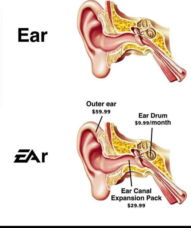 Ear Outer ear 59.99 Ear Drum Ear Canal Expansion Pack 29.99 iFunny