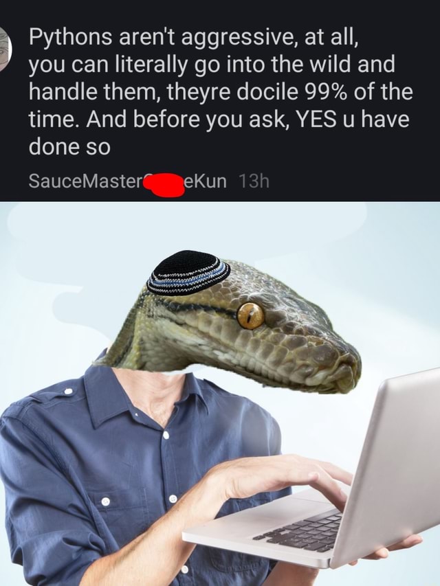 Pythons aren't aggressive, at all, you can literally go into the wild ...