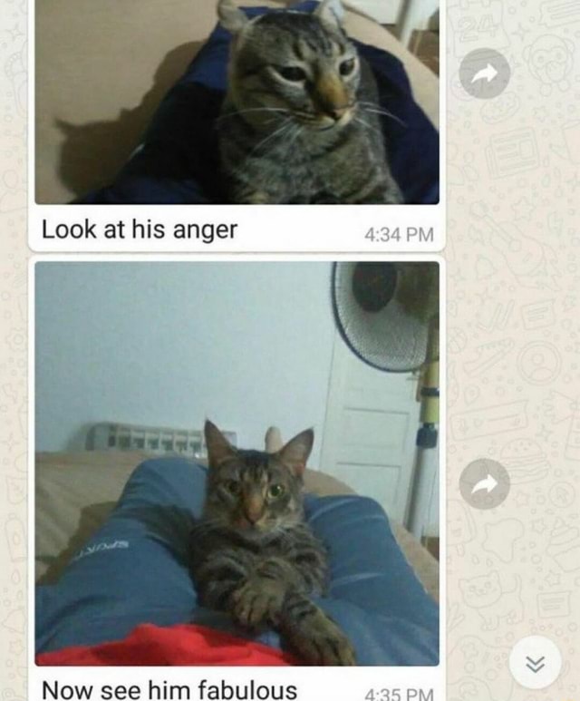 Look at his anger 434 PM Now see him fabulous - iFunny