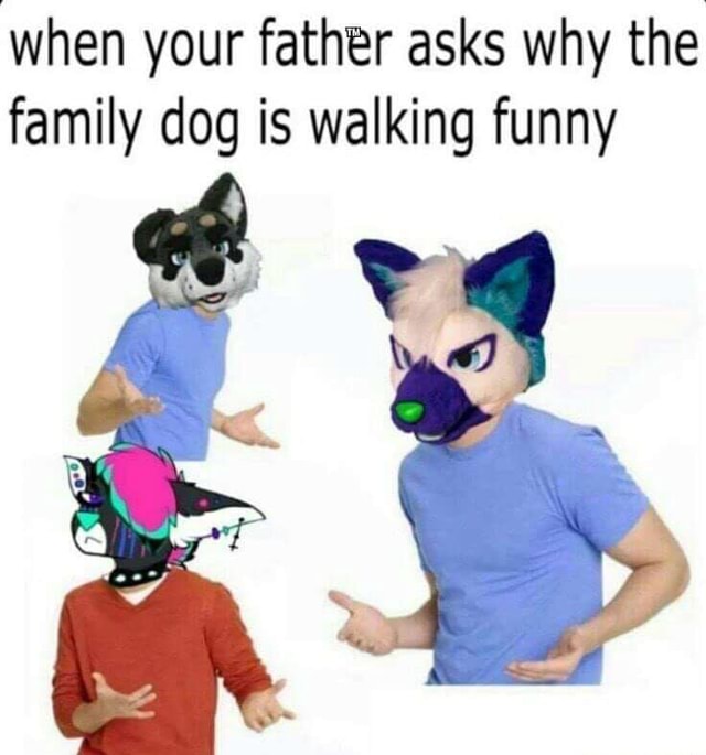 When your father asks why the family dog is walking funny iFunny