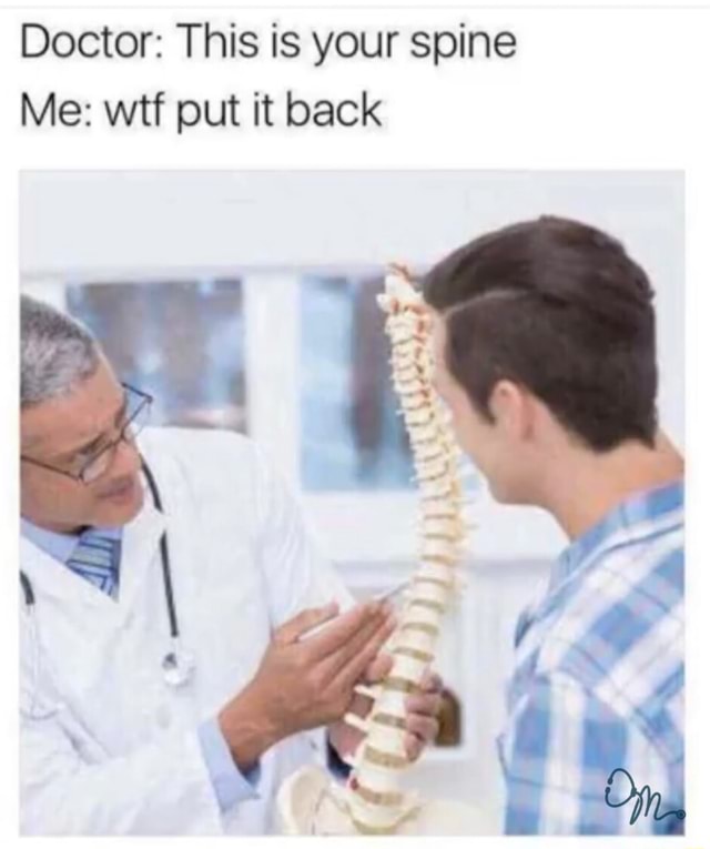 Doctor: This is your spine Me: wtf put it back - iFunny