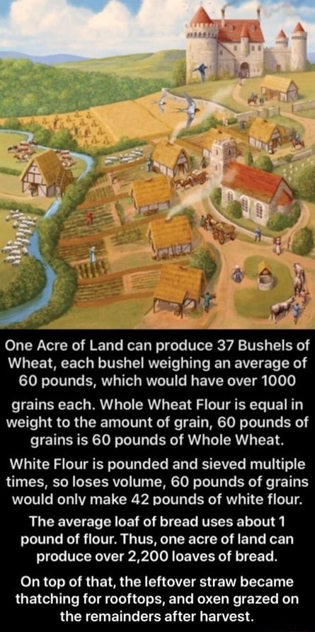 One Acre Of Land Can Produce Bushels Of Wheat Each Bushel Weighing An Average Of Pounds