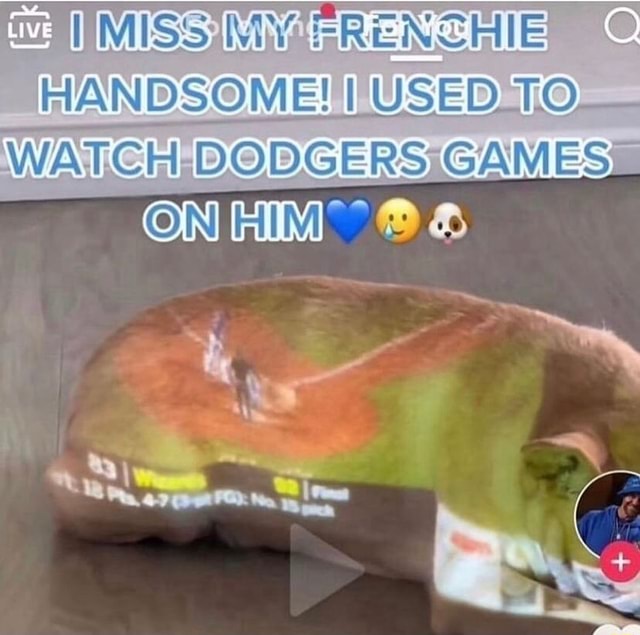 HANDSOME! USED TO WATCH DODGERS GAMES ON & iFunny