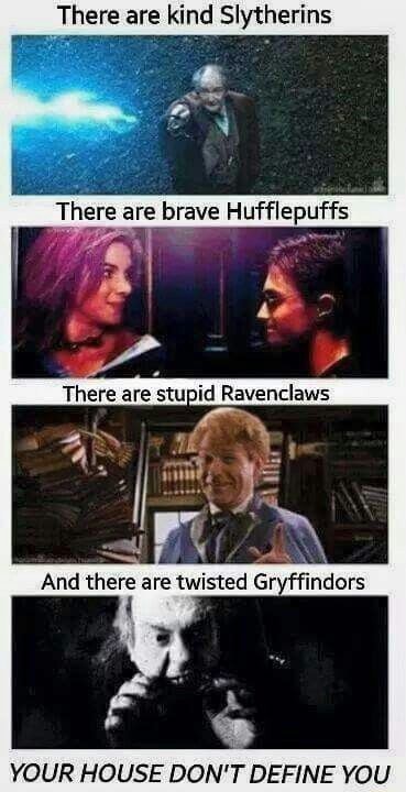 There are kind Slytherins re brave Hufflepuffs YOUR HOUSE DON’TDEFINE ...