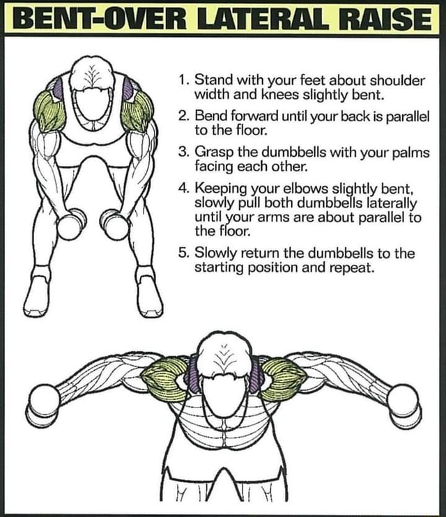 BENTOVER LATERAL RAISE 1. Stand with your feet about shoulder width