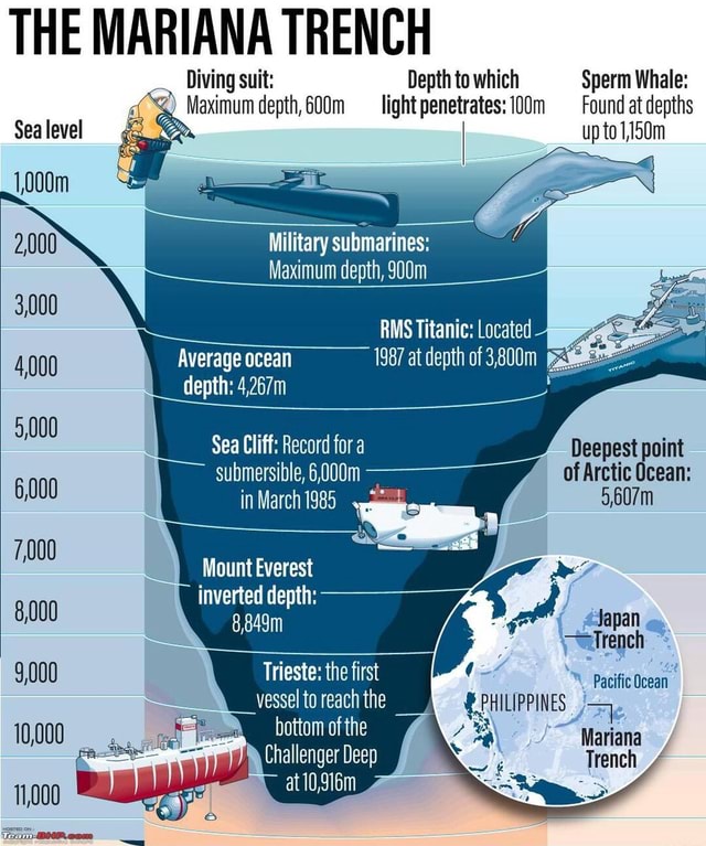 THE MARIANA TRENCH Diving suit: Depth to which Sperm Whale: Maximum