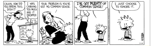 your-problem-s-you-ve-got-no-common-sense-calvin-how-did-you-break