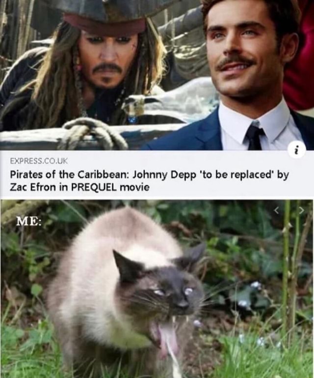 Xpress Pirates Of The Caribbean Johnny Depp To Be Replaced By Zac Efron In Prequel Movie Ifunny 