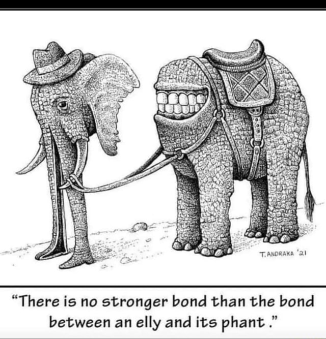 there-is-no-stronger-bond-than-the-bond-between-an-elly-and-its-phant