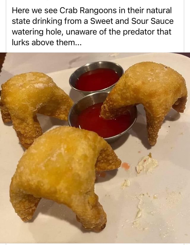 The rangoons rangooning Here we see Crab Rangoons in their natural