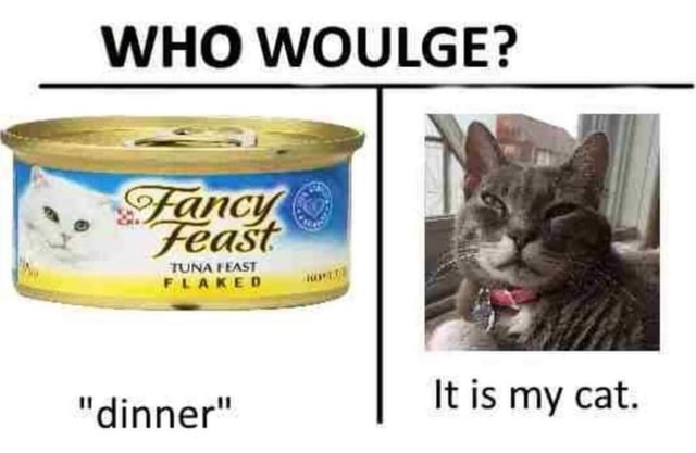 WHO WOULGE? FLARED "dinner" It is my cat. - )