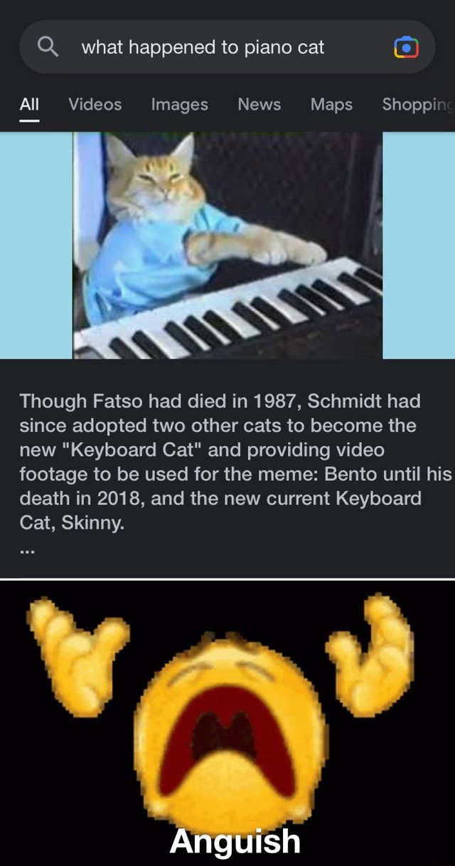 Q. what happened to piano cat All Videos Images News Maps Shoppi Though