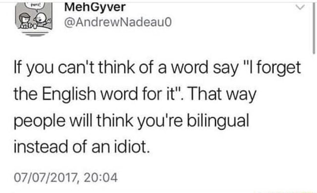 mehgyver-if-you-can-t-think-of-a-word-say-forget-the-english-word-for