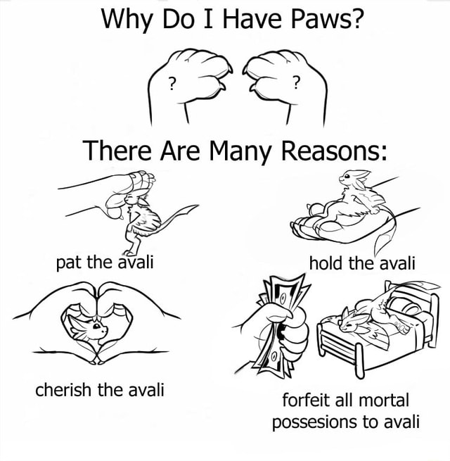 why-do-i-have-paws-there-are-many-reasons-pat-the-avali-hold-the