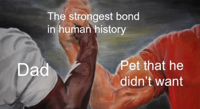 The Strongest Bond