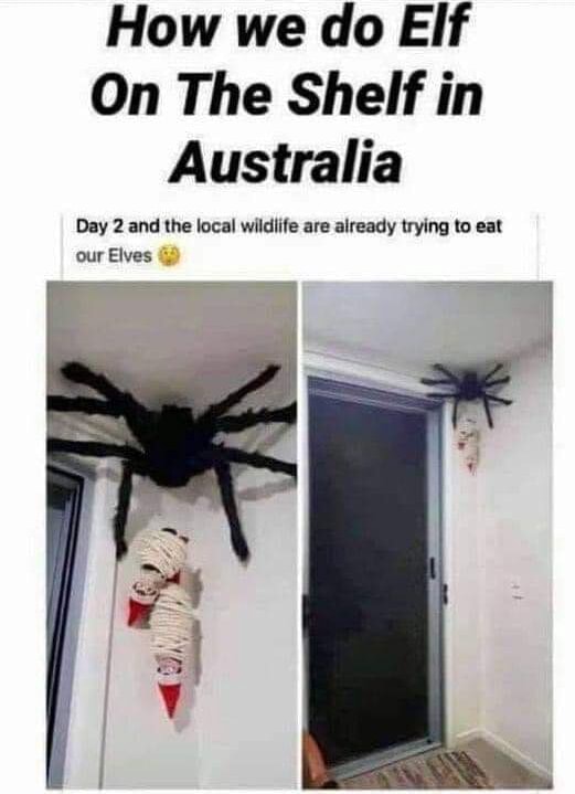 How we do Elf On The Shelf in Australia Day and the local wildlife are