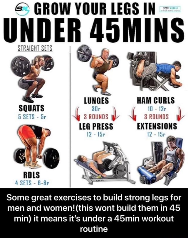 Some great exercises to build strong legs for men and women!(this wont ...