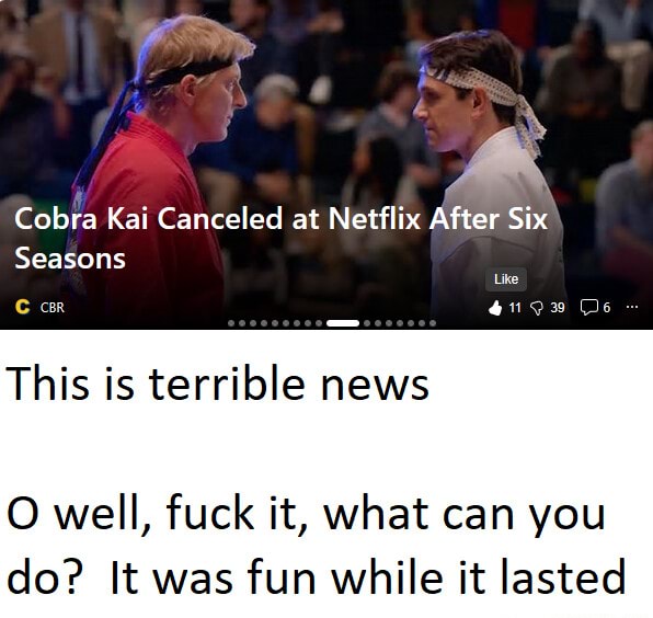 Cobra Kai Canceled at Netflix After Six Seasons = ar Co cc This is