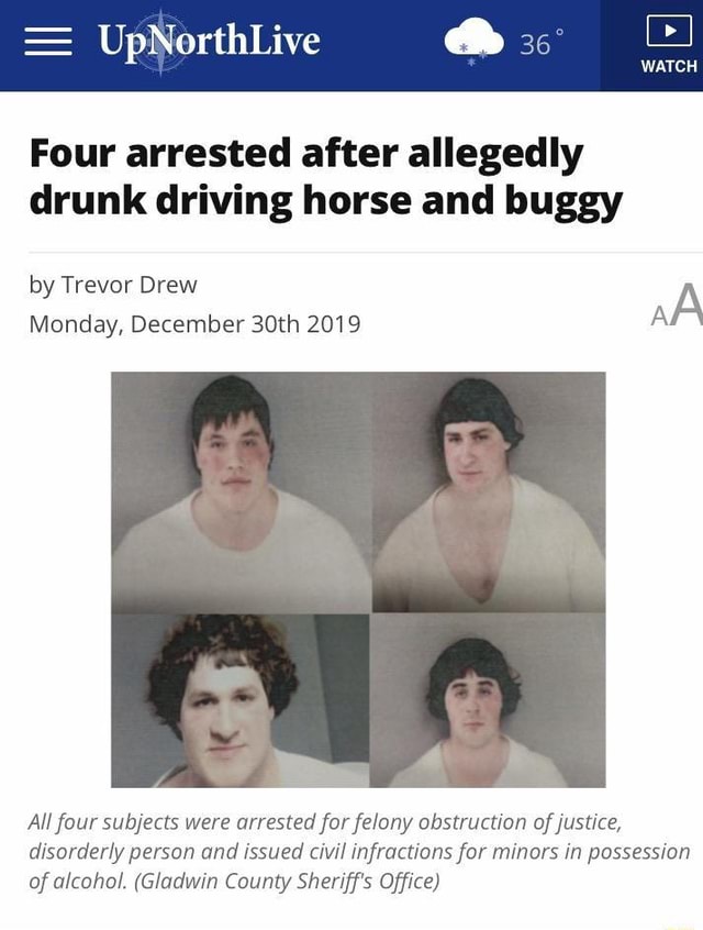 Four arrested after allegedly drunk driving horse and buggy by Trevor ...